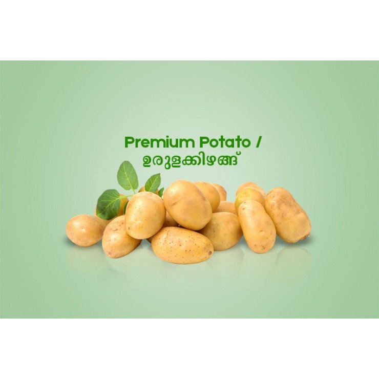 Premium Potato / ഉരുളക്കിഴങ്ങ് - 500gm 